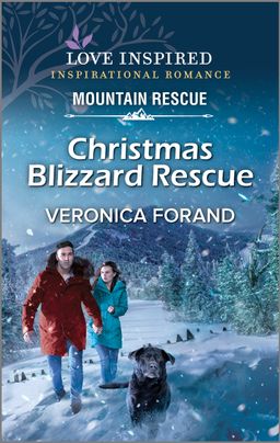 Christmas Blizzard Rescue